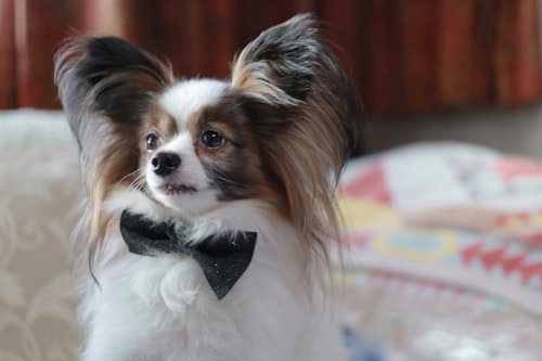 Lv Sci0xaueeim Lv Sci0xaueeim