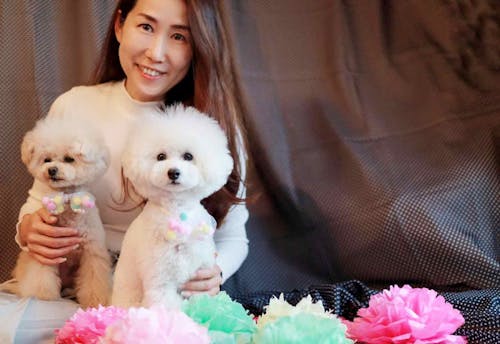 簡単10分 おめかしリボンや蝶ネクタイで気分転換 安くて可愛い愛犬用手作りチョーカー4種を紹介 わんクォール