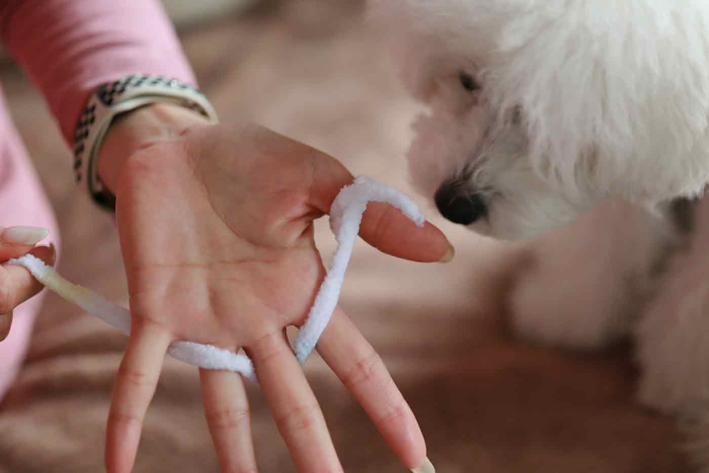 愛犬用指編み　リリアン編み