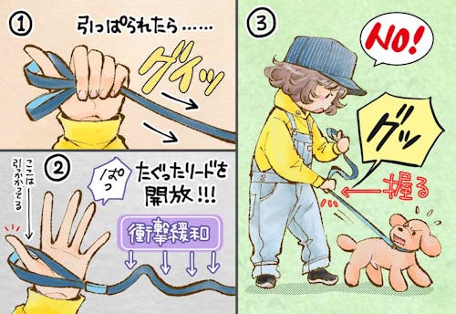 お悩み解消 お散歩上手のコツはリードにあり 人気犬マンガ家が安全な持ち方やオススメのリードさばきを解説 わんクォール お悩み解消 お散歩上手のコツはリードにあり 人気犬マンガ家が安全な持ち方やオススメのリードさばきを解説 わんクォール