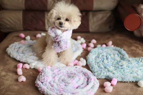 愛犬用指編み　ポンポン付きマフラー