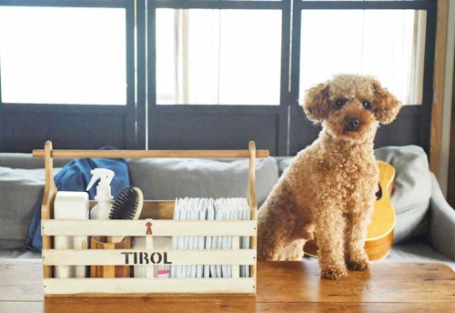 100均の木材だけ まな板とすのこを活用してラックを手作り 愛犬のお手入れ用品をオシャレに片付けよう わんクォール 100均の木材だけ まな板とすのこを活用してラックを手作り 愛犬のお手入れ用品をオシャレに片付けよう わんクォール