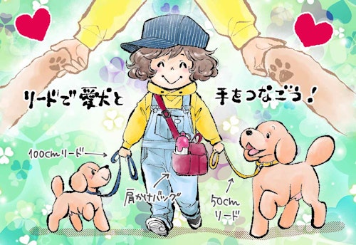 安全で快適な愛犬のリード持ち方 多頭飼いの散歩のコツを解説 わんクォール 安全で快適な愛犬のリード持ち方 多頭飼いの散歩のコツを解説 わんクォール