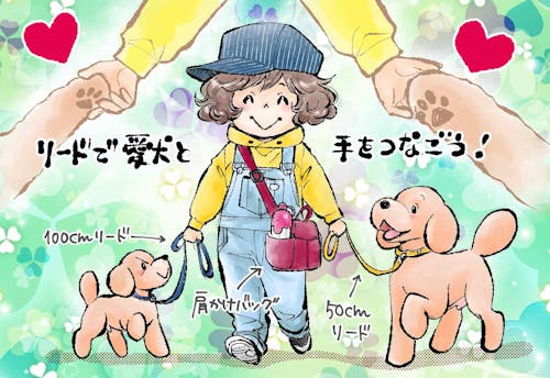 お悩み解消 お散歩上手のコツはリードにあり 人気犬マンガ家が安全な持ち方やオススメのリードさばきを解説 わんクォール