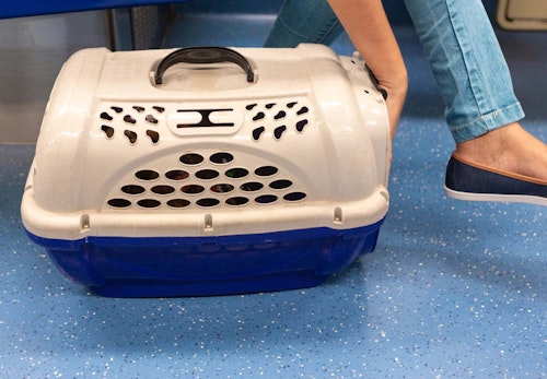 犬と電車に乗る際の注意点は 鉄道会社ごとのルールやマナー 準備すべきものなどについて解説 獣医師監修 わんクォール 犬と電車に乗る際の注意点は 鉄道会社ごとのルールやマナー 準備すべきものなどについて解説 獣医師監修 わんクォール