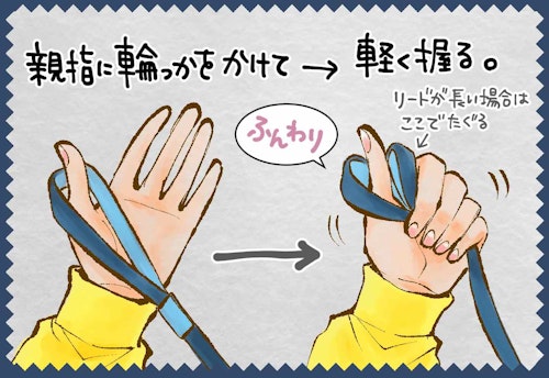 安全で快適な愛犬のリード持ち方 多頭飼いの散歩のコツを解説 わんクォール
