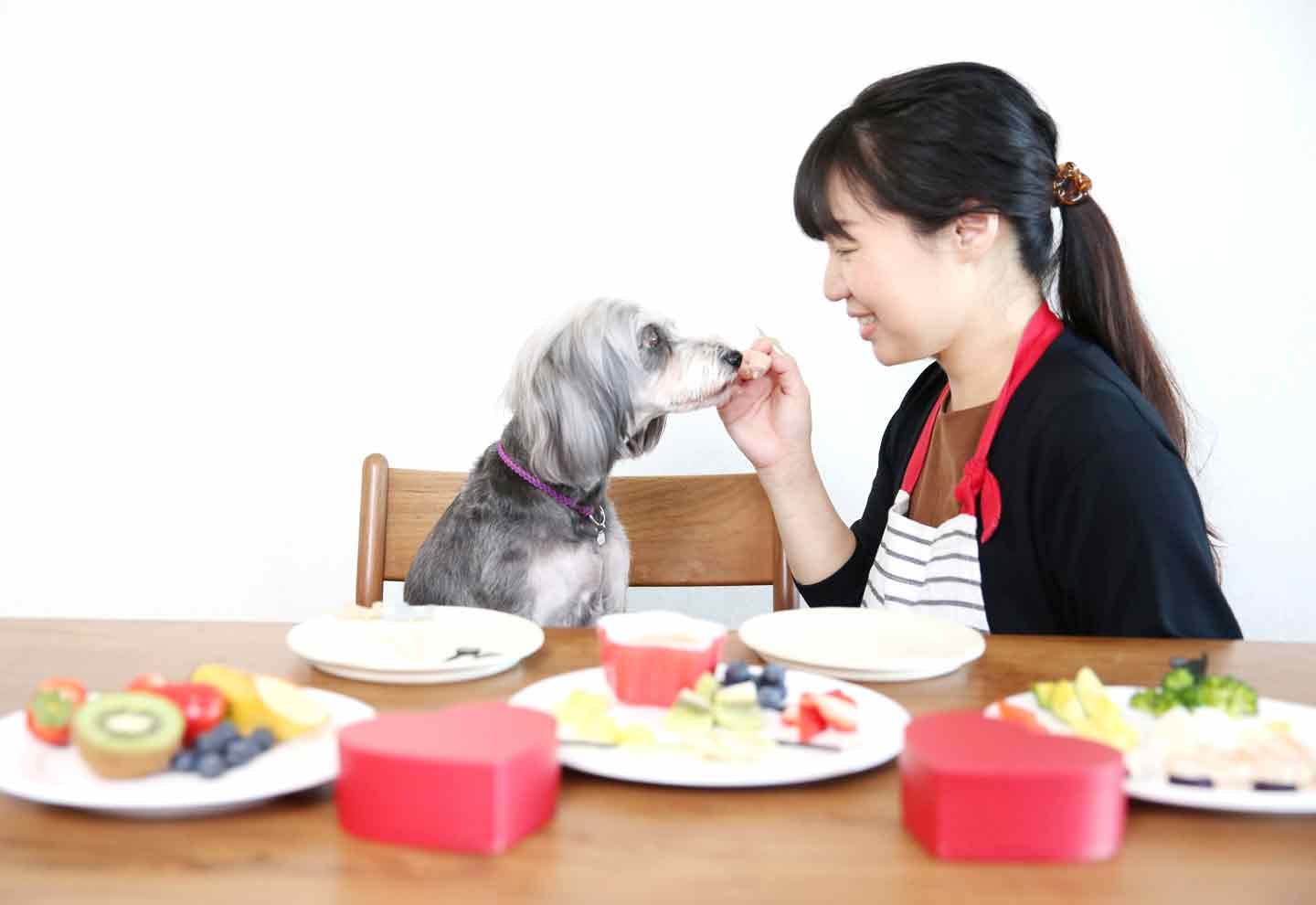 【超簡単バレンタイン】材料混ぜるだけ！お豆腐のチョコフォンデュ風プレートを愛犬に手作りしよう♪