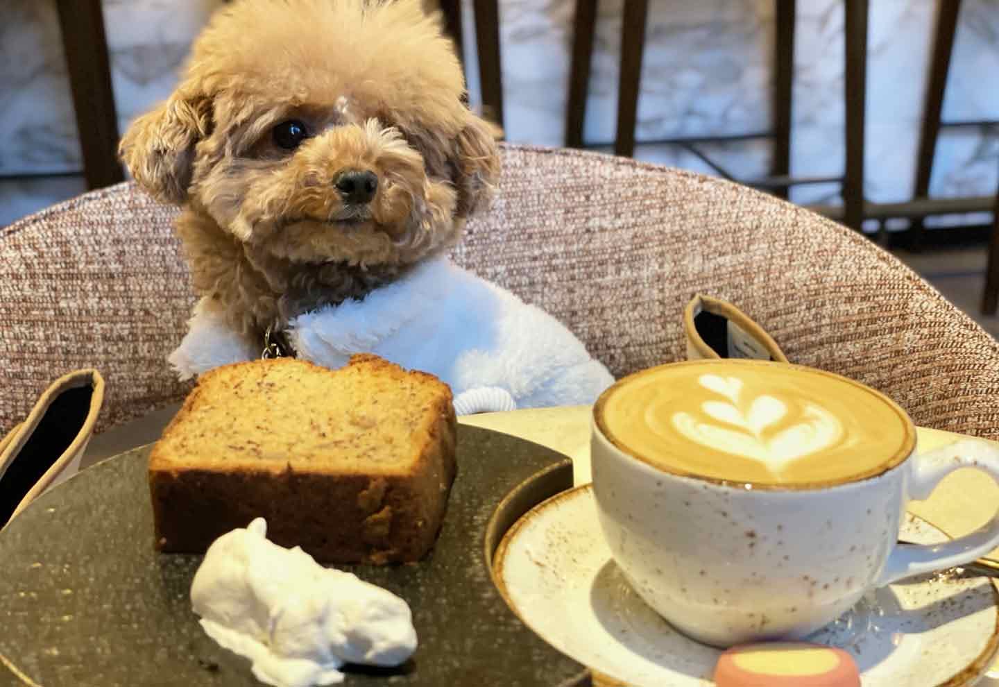 キンプトン新宿東京　ザ・ジョーンズ カフェ&バー　バナナブレッドとカフェオレ