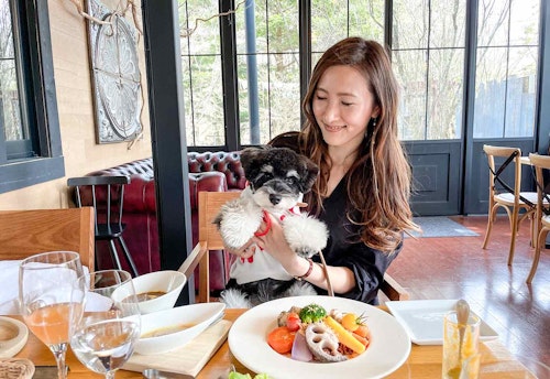 軽井沢 愛犬と楽しめる憧れの街 癒しのデトックス旅が叶うおしゃれスポット3選 わんクォール 軽井沢 愛犬と楽しめる憧れの街 癒しのデトックス旅が叶うおしゃれスポット3選 わんクォール