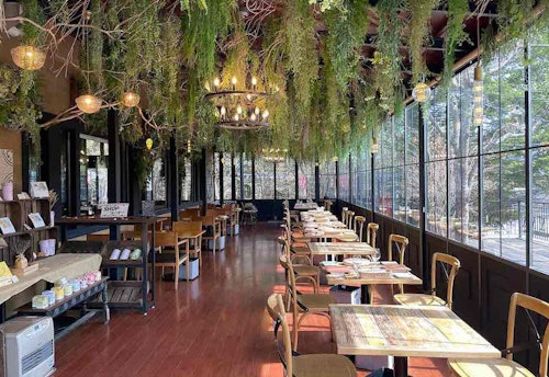 軽井沢 愛犬と楽しめる憧れの街 癒しのデトックス旅が叶うおしゃれスポット3選 わんクォール 軽井沢 愛犬と楽しめる憧れの街 癒しのデトックス旅が叶うおしゃれスポット3選 わんクォール