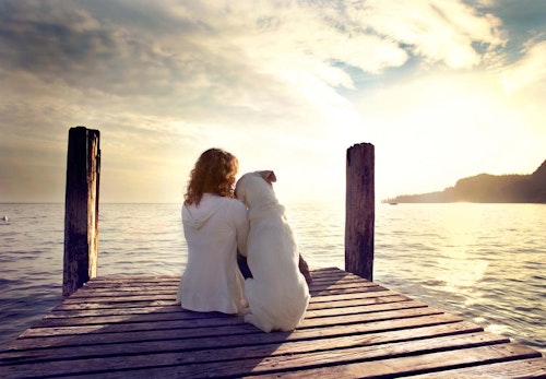 犬の十戒 は子犬を迎える前に必ず読んで 飼い主として知っておきたいその内容とは ペットロスを研究する大学教授監修 わんクォール 犬の十戒 は子犬を迎える前に必ず読んで 飼い主として知っておきたいその内容とは ペットロスを研究する大学教授監修 わんクォール