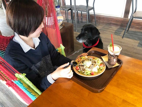 ハンモックカフェで食事する飼い主とテーブル側の犬