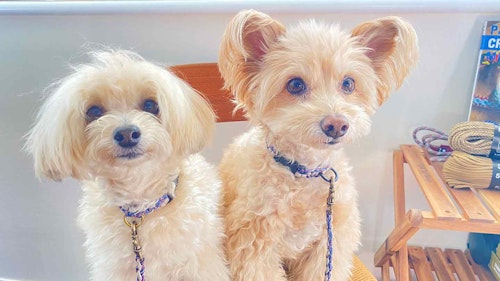 8mevmytam9tt M 8mevmytam9tt M