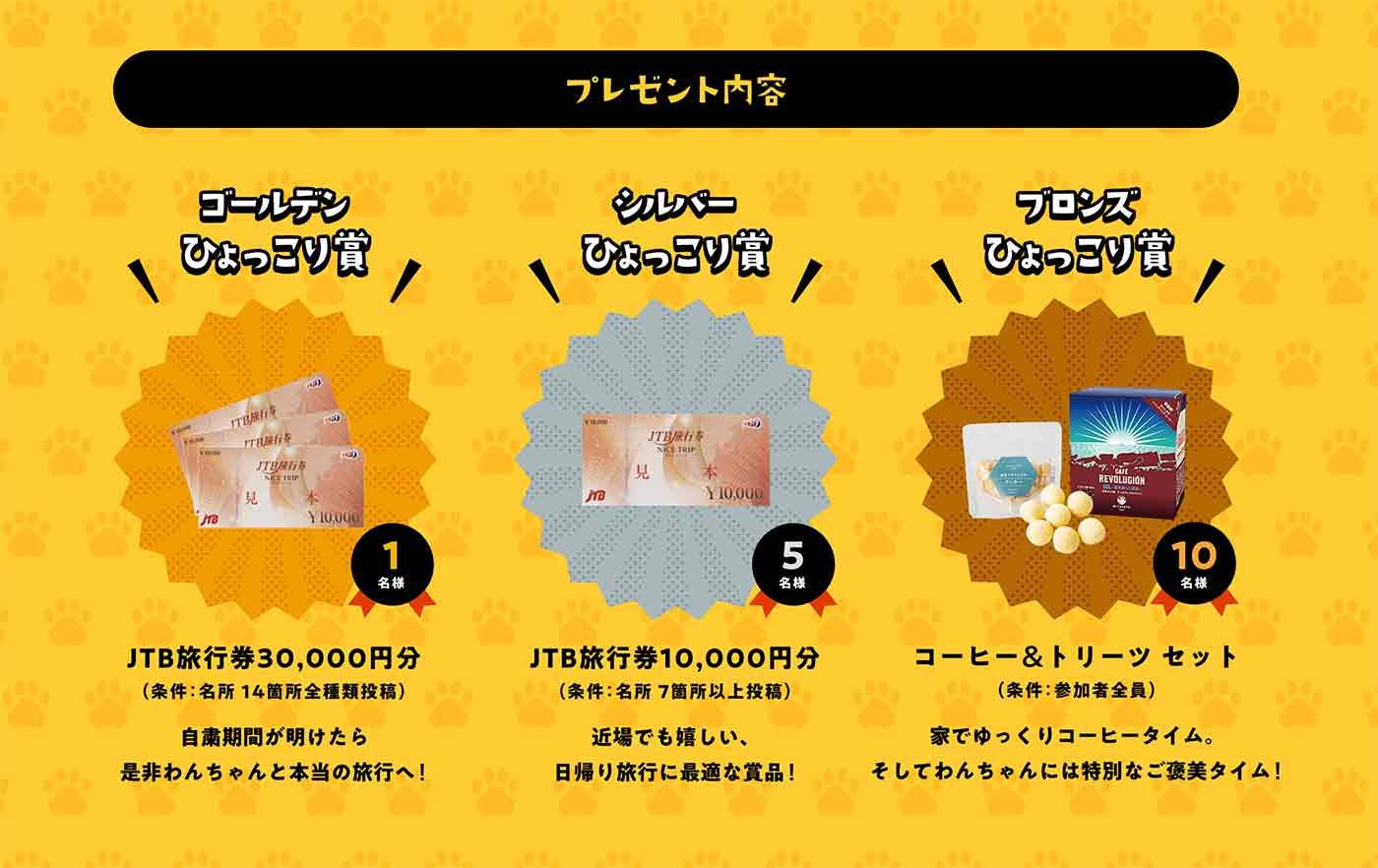 ひょっこりわん景品