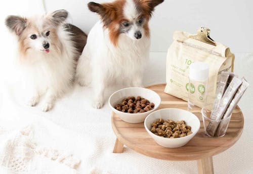 混ぜるだけ 調理をしない手作り愛犬ごはん 超簡単なシャカシャカフレーバードッグフードの作り方 わんクォール 混ぜるだけ 調理をしない手作り愛犬ごはん 超簡単なシャカシャカフレーバードッグフードの作り方 わんクォール