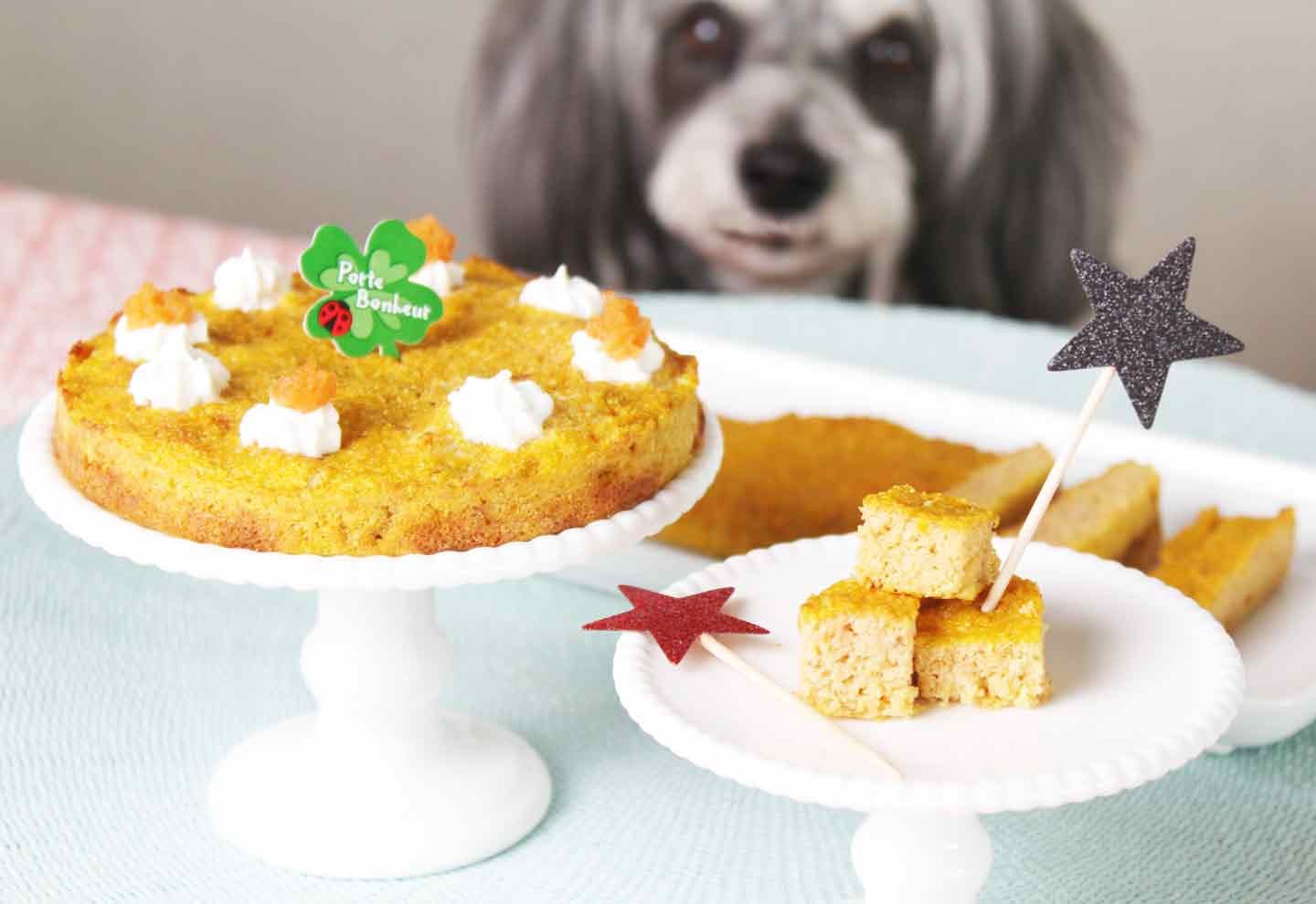 超簡単3step 愛犬の誕生日や記念日に 材料4つだけのヘルシーで失敗しないにんじんケーキの作り方 わんクォール