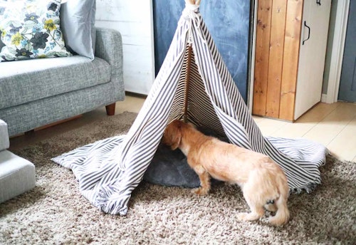 超簡単3step 100均と家にあるアイテムを使って 愛犬用ティピーテント をdiyしよう わんクォール 超簡単3step 100均と家にあるアイテムを使って 愛犬用ティピーテント をdiyしよう わんクォール