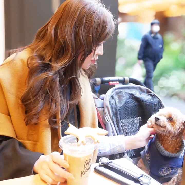 MAMIA(愛犬と旅するトラベルライター)