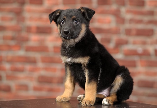 Vdiz1taya2jw1m Vdiz1taya2jw1m