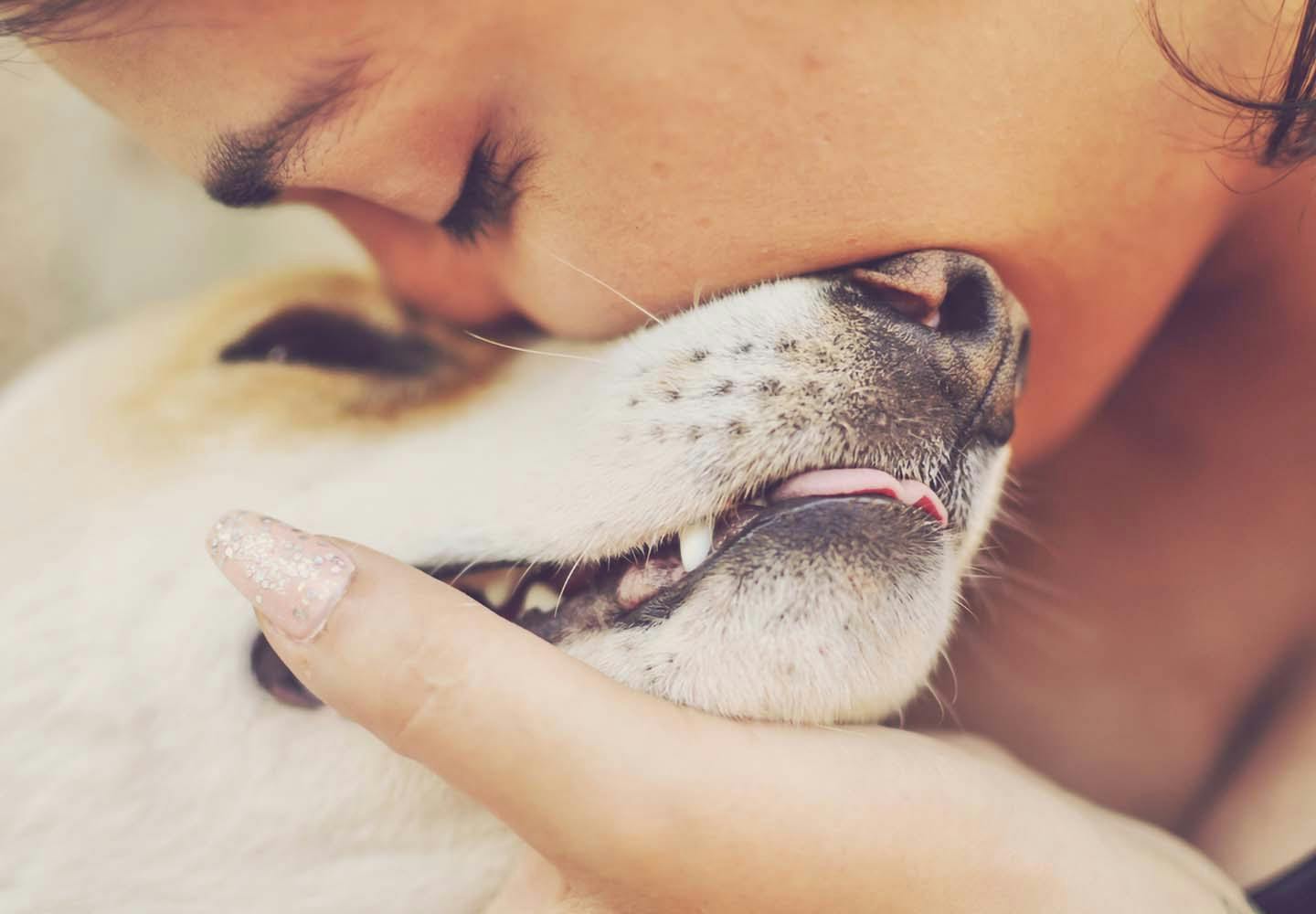 犬の十戒 は子犬を迎える前に必ず読んで 飼い主として知っておきたいその内容とは ペットロスを研究する大学教授監修 Communication コミュニケーション わんクォール