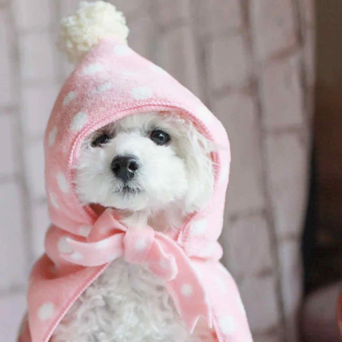 簡単15分 型紙不要 100均のタオルで愛犬用フード付きポンチョを手作りしよう わんクォール 簡単15分 型紙不要 100均のタオルで愛犬用フード付きポンチョを手作りしよう わんクォール