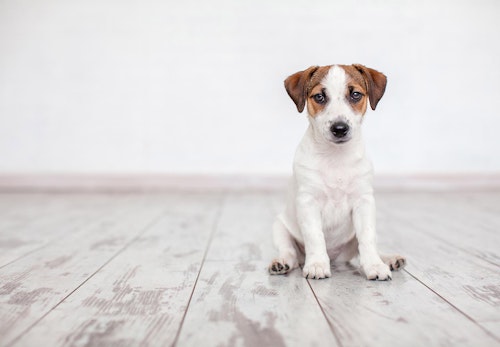 5dcth4syrou13m 5dcth4syrou13m