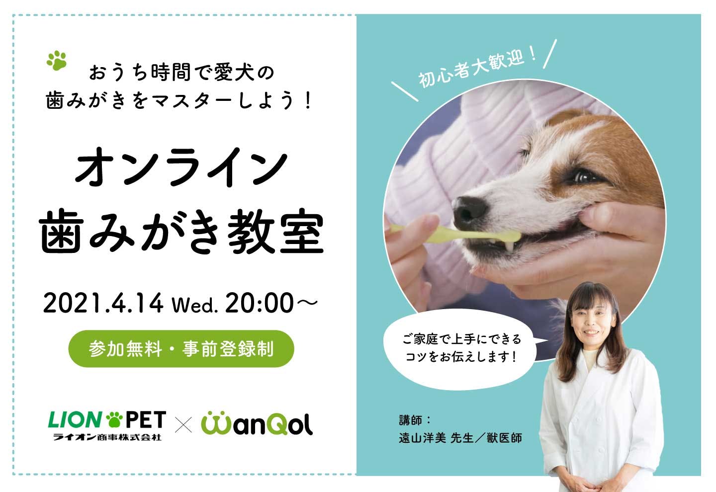 獣医師さん直伝!【オンライン歯みがき教室】おうち時間で愛犬の歯みがきをマスターしよう!