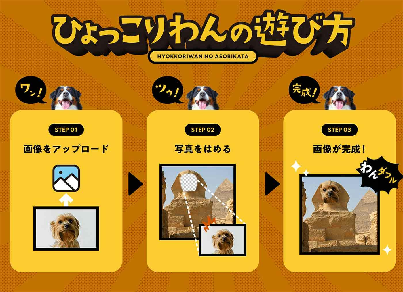 ひょっこりわんの遊び方
