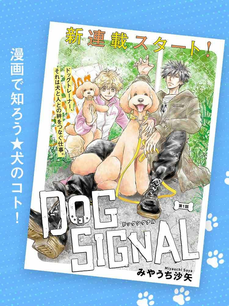 連載】漫画『DOG SIGNAL（ドッグシグナル）』1話目 1/4|ワンクォール