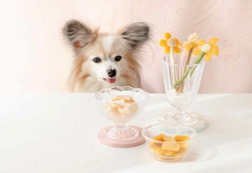 簡単レシピ 家で作れる犬用アイス 市販のおやつを凍らせるだけ わんクォール 簡単レシピ 家で作れる犬用アイス 市販のおやつを凍らせるだけ わんクォール