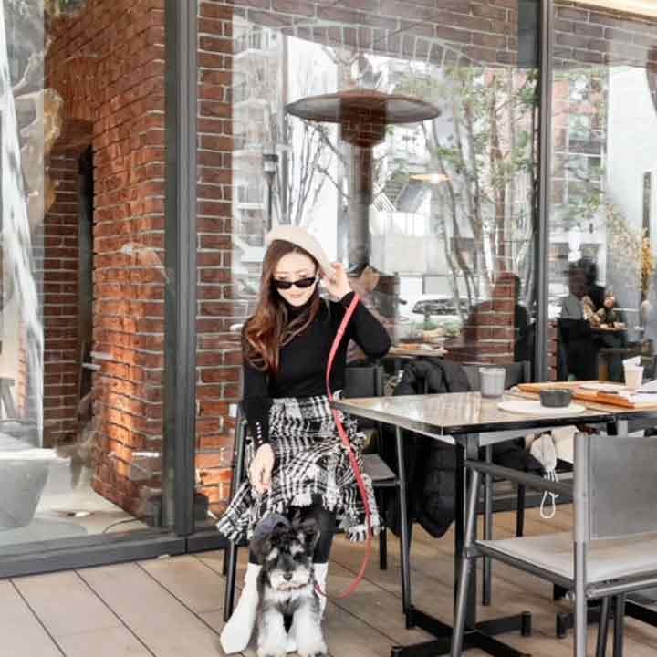 YUMI(犬と旅するトラベラー)