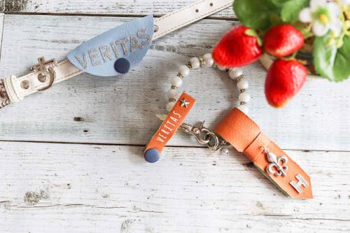 簡単10分 100均アイテムで愛犬のオシャレな迷子札を手作りしよう 身につけておけば いざと言う時にも安心 わんクォール 簡単10分 100均アイテムで愛犬のオシャレな迷子札を手作りしよう 身につけておけば いざと言う時にも安心 わんクォール