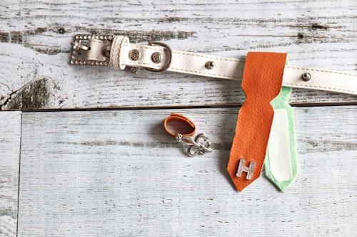 簡単10分 100均アイテムで愛犬のオシャレな迷子札を手作りしよう 身につけておけば いざと言う時にも安心 わんクォール 簡単10分 100均アイテムで愛犬のオシャレな迷子札を手作りしよう 身につけておけば いざと言う時にも安心 わんクォール