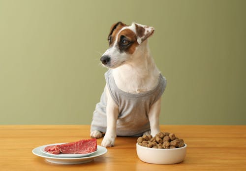犬が食べてもいい肉とは 種類ごとの特徴と与える際の注意点を解説します 獣医師監修 わんクォール 犬が食べてもいい肉とは 種類ごとの特徴と与える際の注意点を解説します 獣医師監修 わんクォール