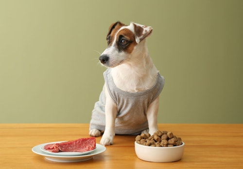 犬が食べてもいい肉とは 種類ごとの特徴と与える際の注意点を解説します 獣医師監修 わんクォール