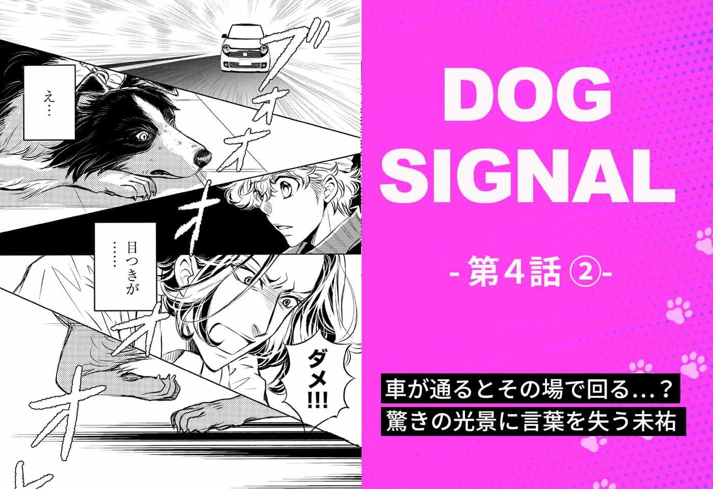 犬好き漫画家 みやうち沙矢 わんクォール