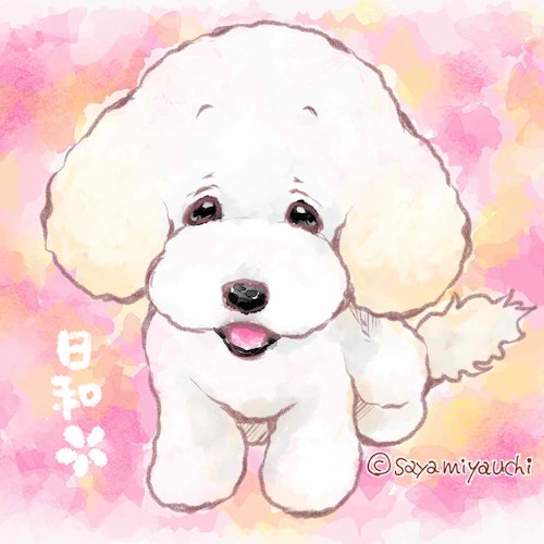 『DOG SIGNAL』　みやうち沙矢オリジナル愛犬似顔絵キャンペーン　イメージ画像　トイプードル　