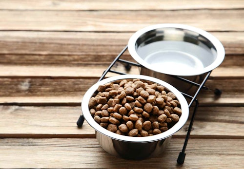 犬は水道水やミネラルウォーターを飲んでも大丈夫 注意点や与えるのがngな種類について解説します 獣医師監修 わんクォール 犬は水道水やミネラルウォーターを飲んでも大丈夫 注意点や与えるのがngな種類について解説します 獣医師監修 わんクォール