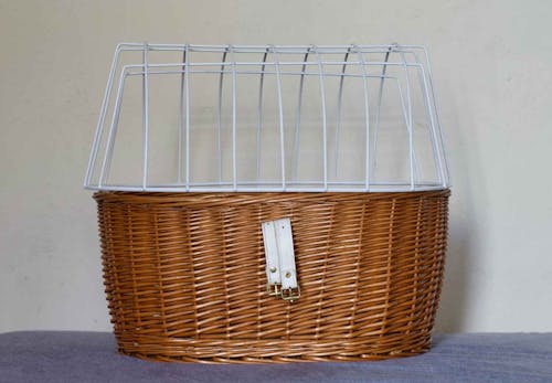 犬を自転車に乗せてもいい 注意点や便利なグッズについて解説します 獣医師監修 わんクォール