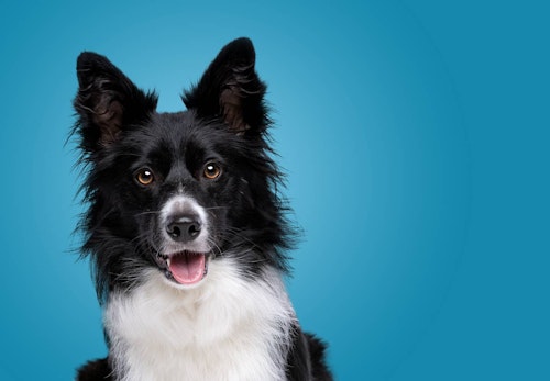 Bw5ofuz Iafqjm Bw5ofuz Iafqjm