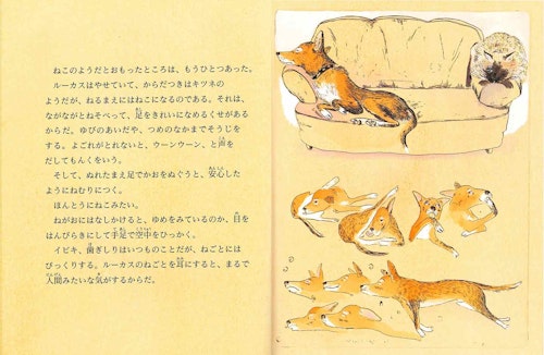 愛犬との出会い 書店員が選ぶオススメ絵本3選 あなたのそばに 犬と絵本と わんクォール 愛犬との出会い 書店員が選ぶオススメ絵本3選 あなたのそばに 犬と絵本と わんクォール