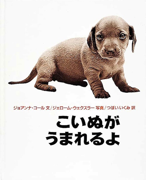 愛犬との出会い 書店員が選ぶオススメ絵本3選 あなたのそばに 犬と絵本と わんクォール 愛犬との出会い 書店員が選ぶオススメ絵本3選 あなたのそばに 犬と絵本と わんクォール