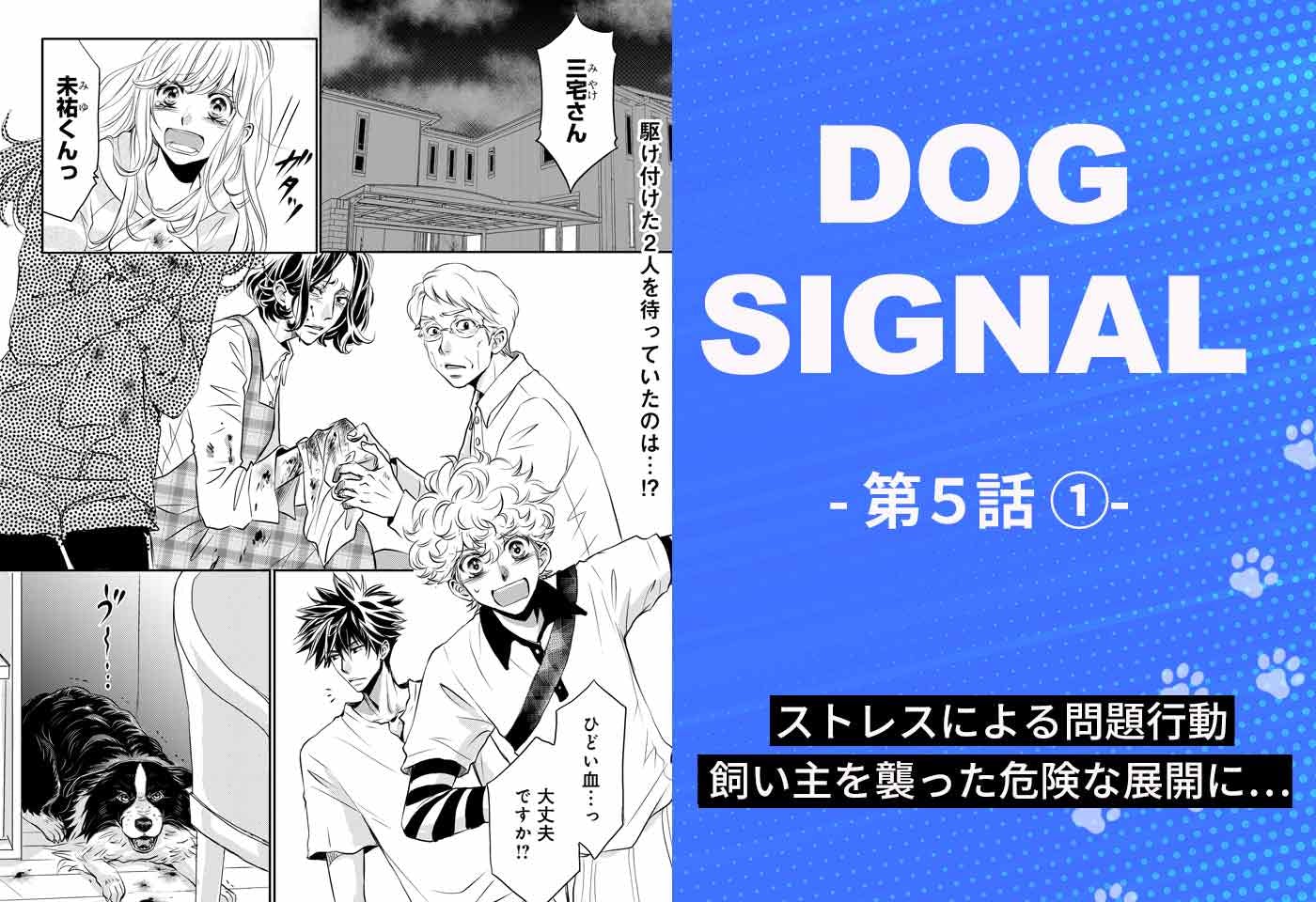 犬好き漫画家 みやうち沙矢 わんクォール