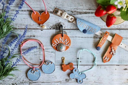 簡単10分 100均アイテムで愛犬のオシャレな迷子札を手作りしよう 身につけておけば いざと言う時にも安心 わんクォール 簡単10分 100均アイテムで愛犬のオシャレな迷子札を手作りしよう 身につけておけば いざと言う時にも安心 わんクォール