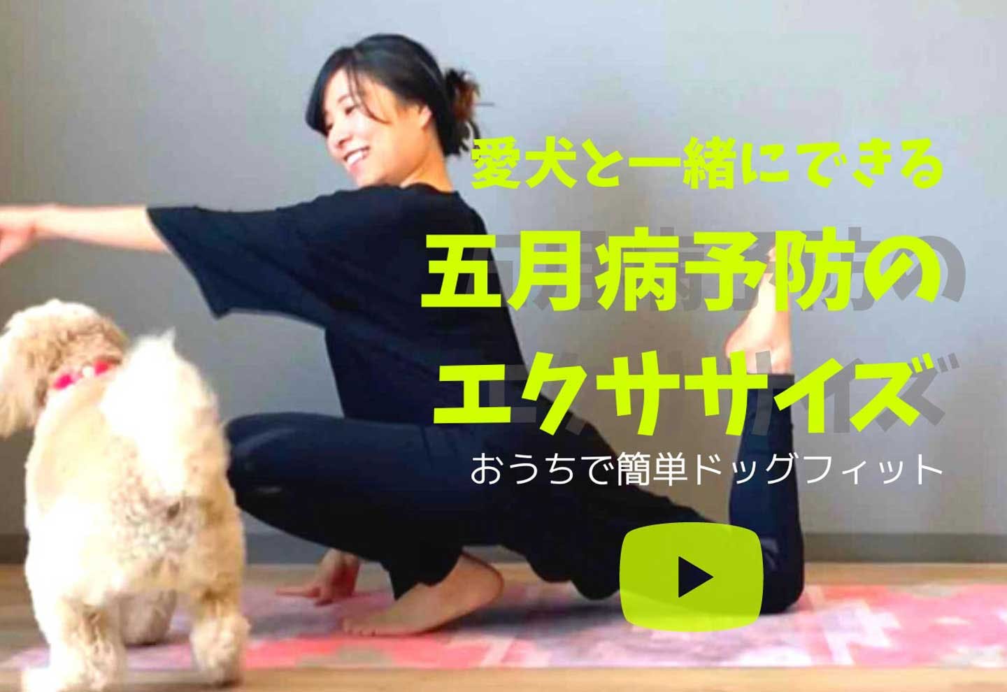 【五月病対策】愛犬と一緒に簡単エクササイズ！15分でできる3つのドッグフィット