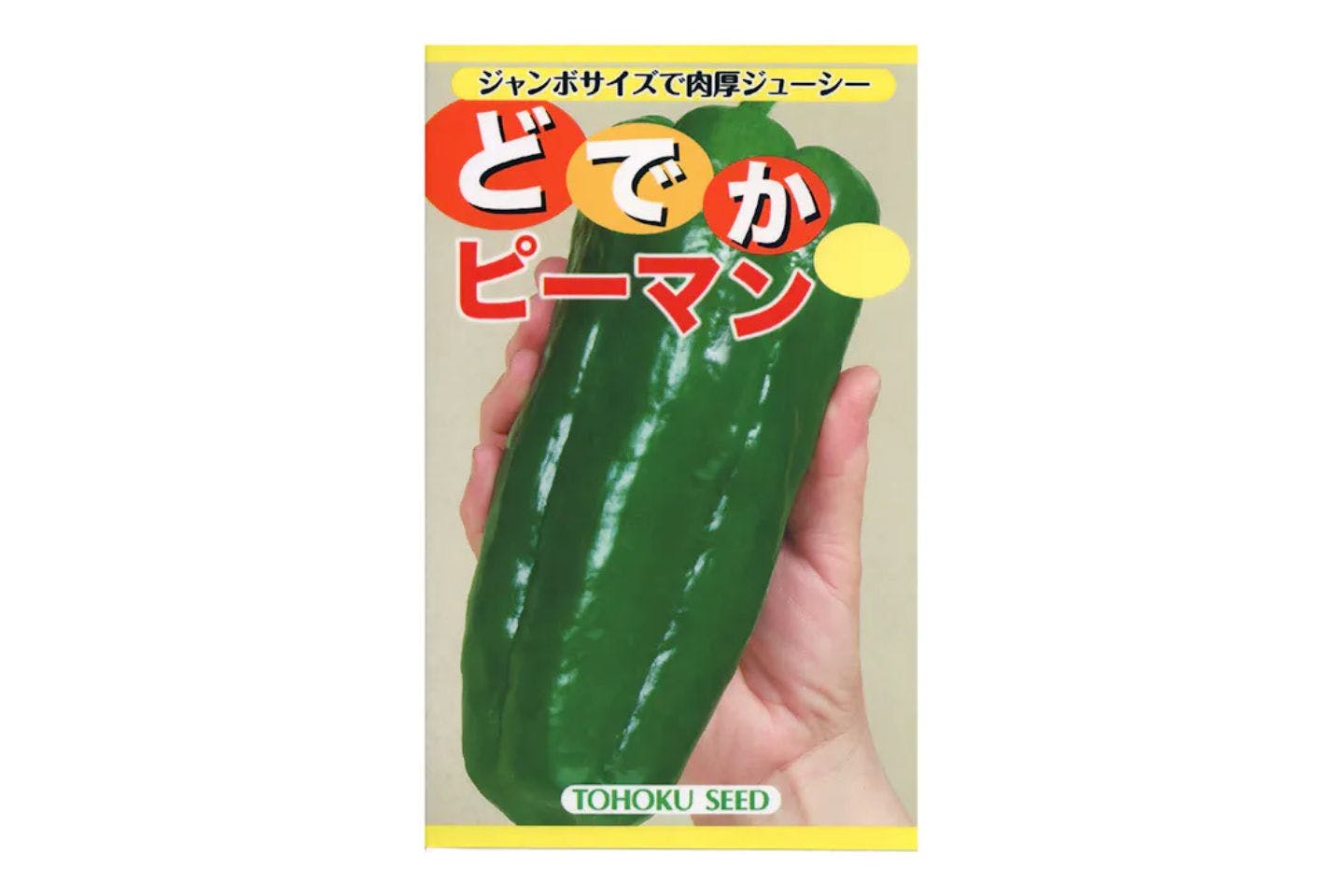 トーホク どでかピーマン