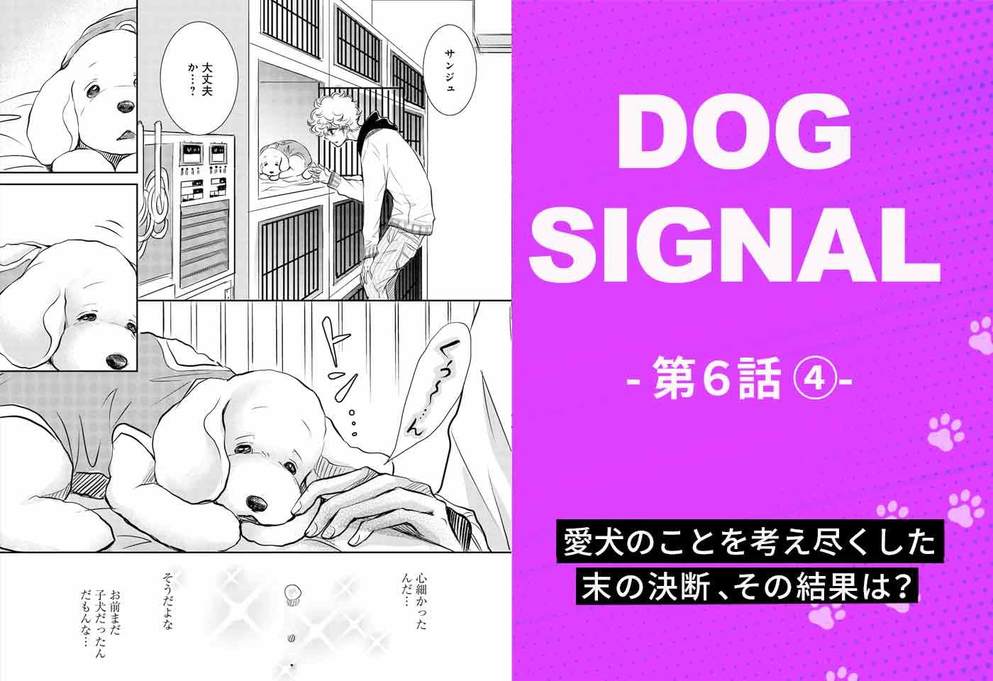 驚きの値段で DOG SIGNAL SIGNAL - 1から６巻セット 漫画