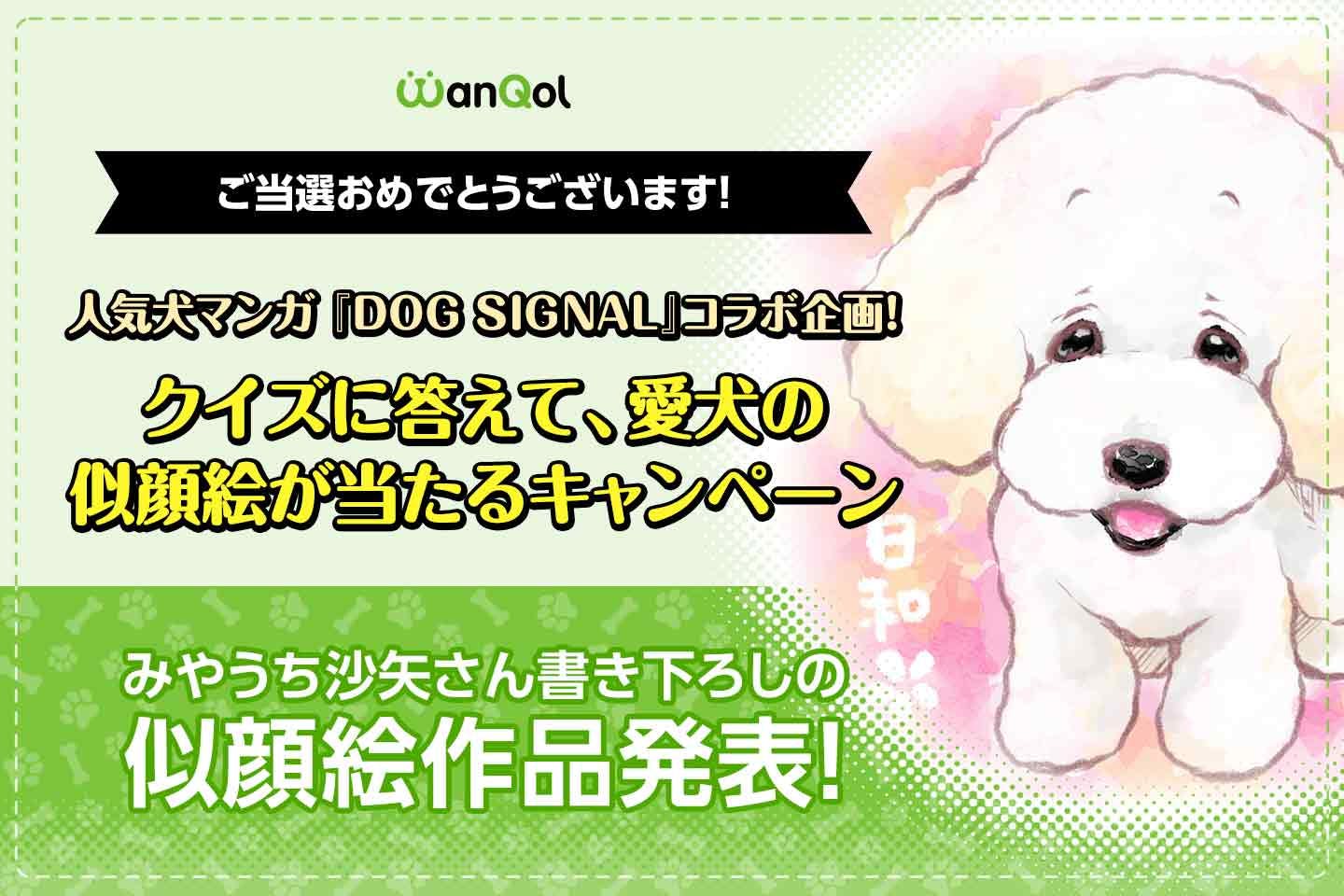 第1回 Dog Signal とのコラボキャンペーン当選者発表 わんクォール