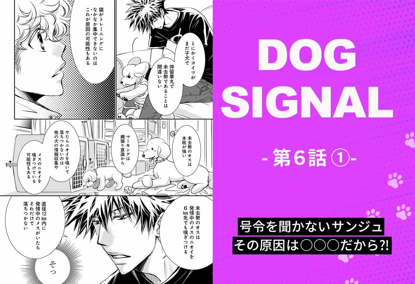 『DOG SIGNAL』6話目①　表紙