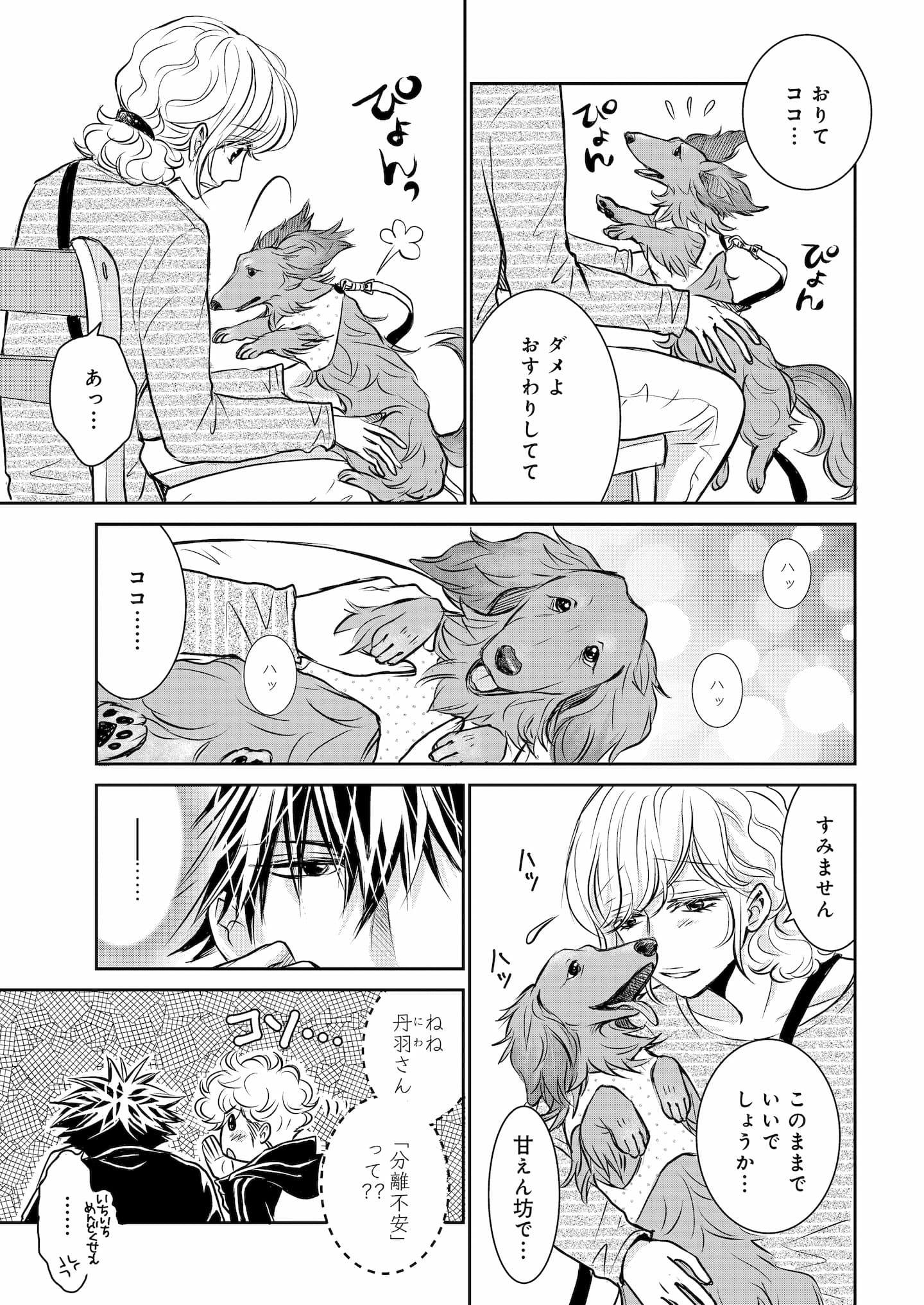 DOG ＳＩＧＮＡＬ ドッグシグナル 71BA5iefj8L._UF350,350_QL50_.jpg